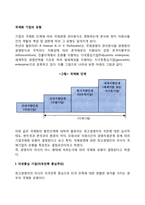 국제화 기업의 유형-2
