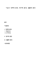 기업의 경제적 환경, 정치적 환경, 법률적 환경-1