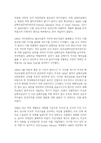 베트남전쟁 전개과정과 미친영향과 베트남전쟁과 한국과의 관계연구 및 느낀점 [베트남전쟁 연구레포트]-4