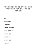 기업의 일반환경(경제적 환경, 정치적-법률적 환경, 사회문화적 환경, 기술적 환경, 국제적 환경, 자연적 환경)-1