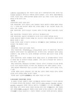 [방통대 2019-1]영국과 미국의 관료제 수립과정에 대하여 비교 설명하시오.-6