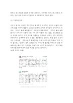 소프트뱅크 기업분석과 SWOT분석 및 소프트뱅크 경영전략 분석과 미래전망연구-8
