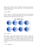 경영계획의 원칙과 단계(경영계획의 수립과정 8단계)-3
