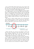산탄데르 은행의 성장 과정과 환경 분석-11