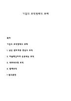 기업의 조직형태의 과제-1