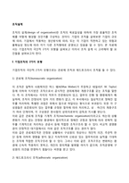 [조직설계] 기업조직의 모형, 조직설계 시 고려사항-2