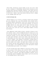 (한국산업의이해 C형) 한국의 전자산업에 관해 논하시오-9