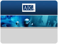 AIG 생명보험 AIG 기업소개 AIG 연혁 AIG 주요사업개황 AIG 재무상태 AIG 성장률-1