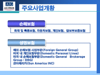 AIG 생명보험 AIG 기업소개 AIG 연혁 AIG 주요사업개황 AIG 재무상태 AIG 성장률-5