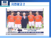 AIG 생명보험 AIG 기업소개 AIG 연혁 AIG 주요사업개황 AIG 재무상태 AIG 성장률-15