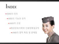 Airway Bill 항공화물 운송장-2