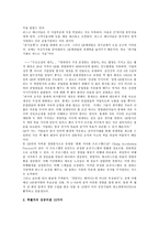 CEO 레포트-12