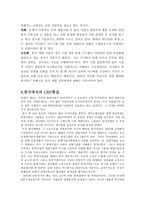 CEO 레포트-15