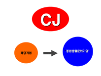 CJ CGV 레포트-2