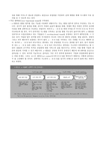 e HRM과 p HRM의 비교 p HRM 문제점 한국형 e HRM의 PI 기업들의 PI사례분석-3