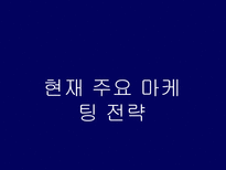 HOT6 의 전략적 분석 및지속적 성장을 위한 마케팅 전략-17