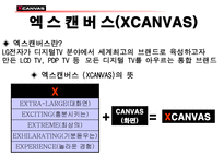 LG전자의 TV부문 마케팅 엑스캔버스와 타임머신 TV 엑스캔버스 소개 엑스캔버스 조사 엑스캔버스 분석 엑스캔버스 STP분석 엑스캔버스 4P 전략 분석 엑스캔버스 미래 엑스캔버스 시장환경-4
