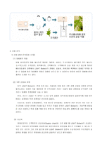 LIGHT Biotech Business LIGHT Biotech 사업개념 LIGHT Biotech 사업 목적-5