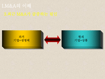 M&A ★ mergers and acquisitions ★ M&A 종류-5
