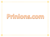 Prinions com 기업분석-1