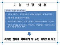 Prinions com 기업분석-3