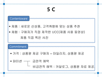 Prinions com 기업분석-11