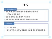 Prinions com 기업분석-12