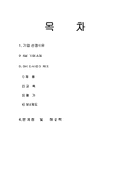 SK 인사관리 제도 SK 기업소개 SK 인사관리 채용 SK 인사관리 교육 SK 인사관리-1
