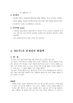 SK 인사관리 제도 SK 기업소개 SK 인사관리 채용 SK 인사관리 교육 SK 인사관리-12