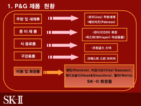 SK2의 시장진출 전략-4