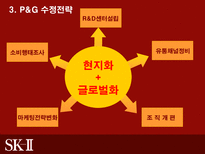 SK2의 시장진출 전략-11