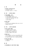 WIPI와 유비쿼터스 패러다임 WIPI의 정의와 미래전망-2