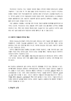 WIPI와 유비쿼터스 패러다임 WIPI의 정의와 미래전망-13