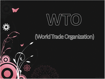 WTO World Trade Organization 정의 기본원칙 역할 장점 기능 성격 사례 견해-1
