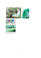 경영경제 HACCP 사례-8