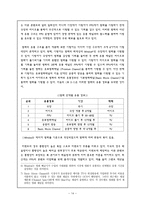 경영경제 PPV 레포트-14