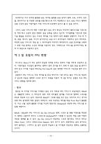 경영경제 PPV 레포트-19