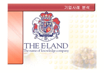 경영경제 기업사례 분석 이랜드-1