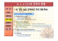 경영경제 기업사례 분석 이랜드-11