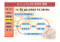 경영경제 기업사례 분석 이랜드-14