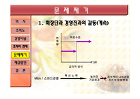 경영경제 기업사례 분석 이랜드-19