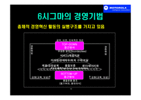 경영경제 모토로라의 품질경영-식스시그마-19
