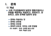 경영경제 정치적·문화적 환경-4