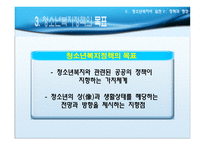 경영경제 청소년복지의 실천 정책과 행정-13