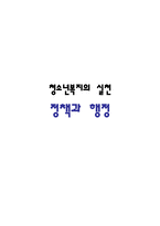 경영경제 청소년복지의 실천- 정책과 행정-1