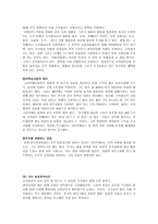 경영전략 코카콜라와펩시경영전략-13