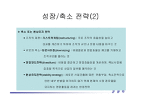 경영전략 레포트-13