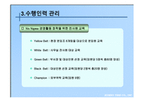 경제경영 6시그마 도입 성공사례 금호타이어-14