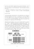 경제경영 ABB사의 글로벌 매트릭스조직-5