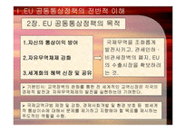 경제경영 EU 의 공동통상정책-4